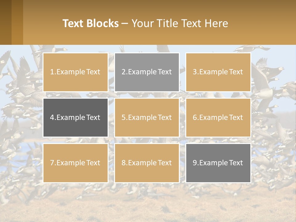 A Flock Of Birds Flying Over A Dry Grass Field PowerPoint Template