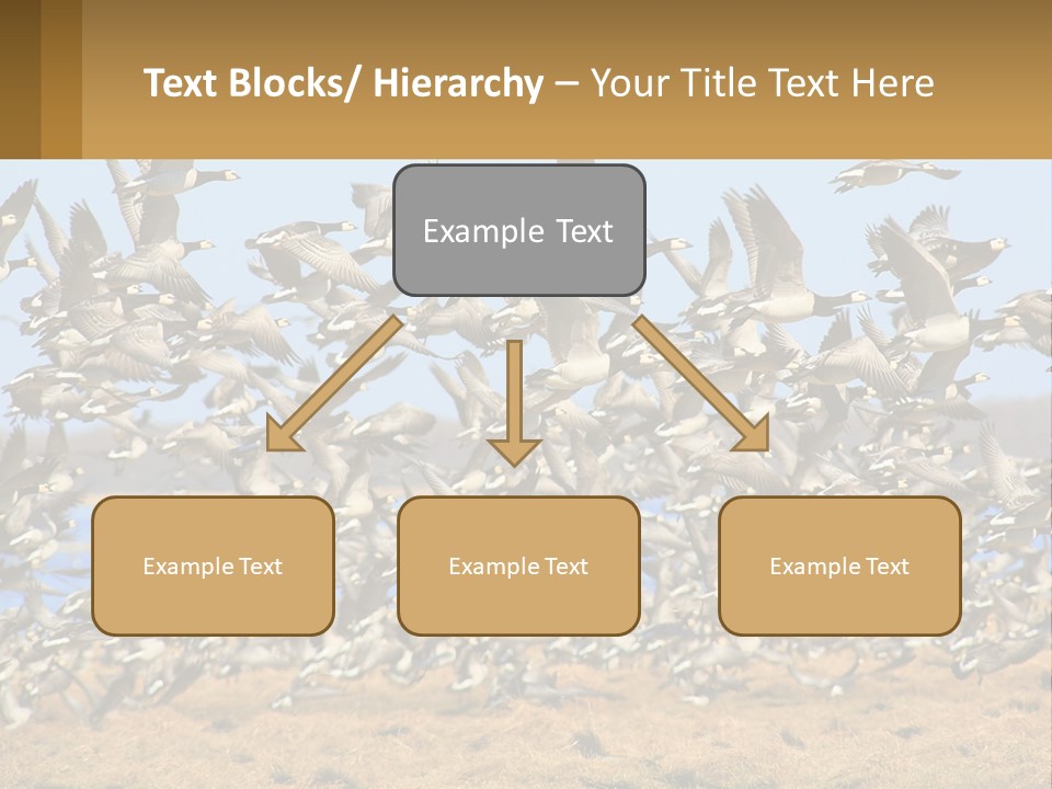 A Flock Of Birds Flying Over A Dry Grass Field PowerPoint Template