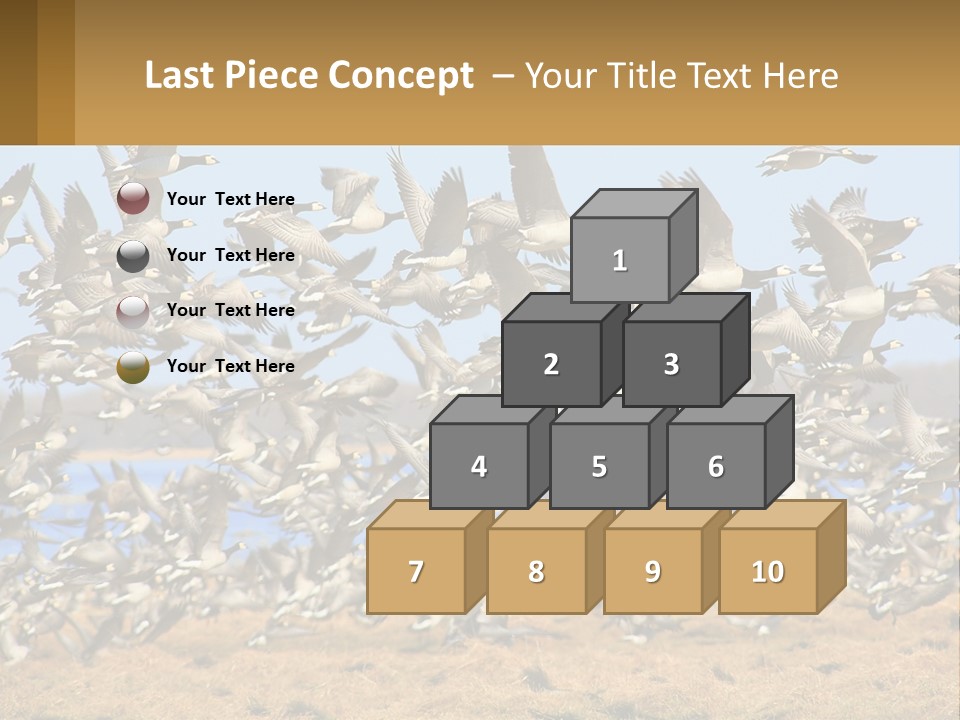 A Flock Of Birds Flying Over A Dry Grass Field PowerPoint Template