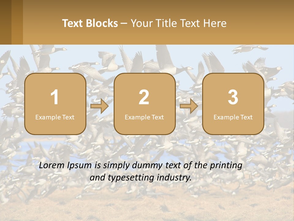 A Flock Of Birds Flying Over A Dry Grass Field PowerPoint Template