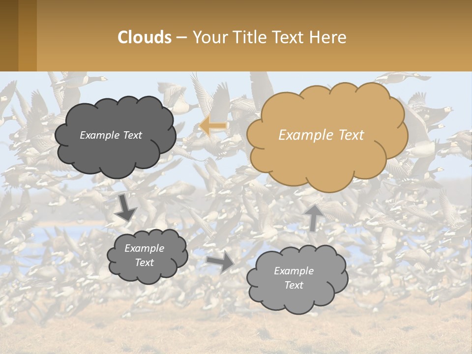 A Flock Of Birds Flying Over A Dry Grass Field PowerPoint Template