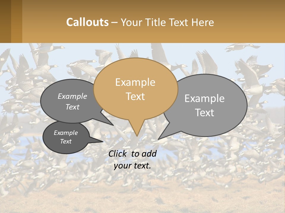 A Flock Of Birds Flying Over A Dry Grass Field PowerPoint Template