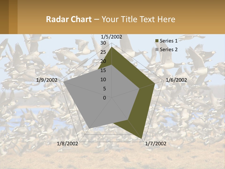 A Flock Of Birds Flying Over A Dry Grass Field PowerPoint Template