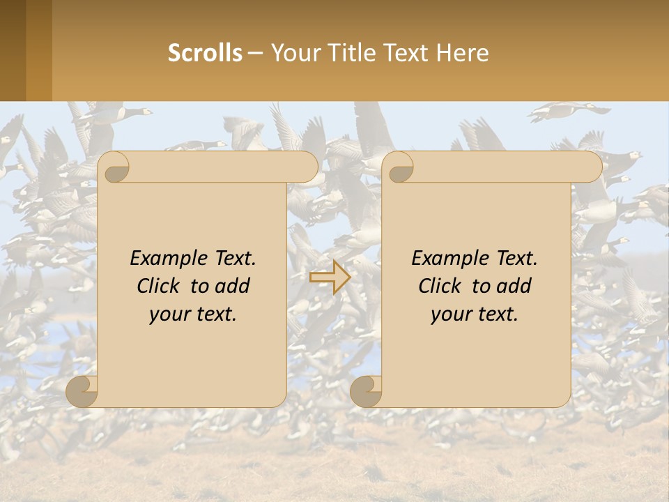 A Flock Of Birds Flying Over A Dry Grass Field PowerPoint Template