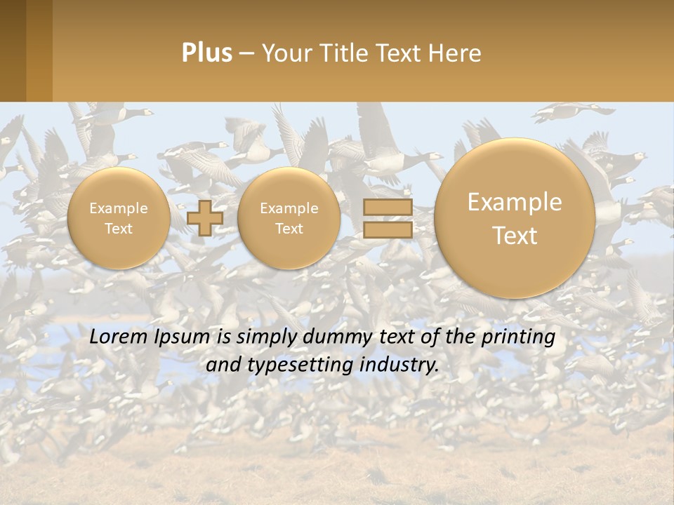 A Flock Of Birds Flying Over A Dry Grass Field PowerPoint Template
