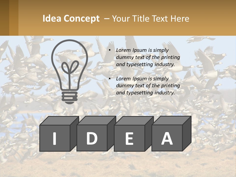 A Flock Of Birds Flying Over A Dry Grass Field PowerPoint Template