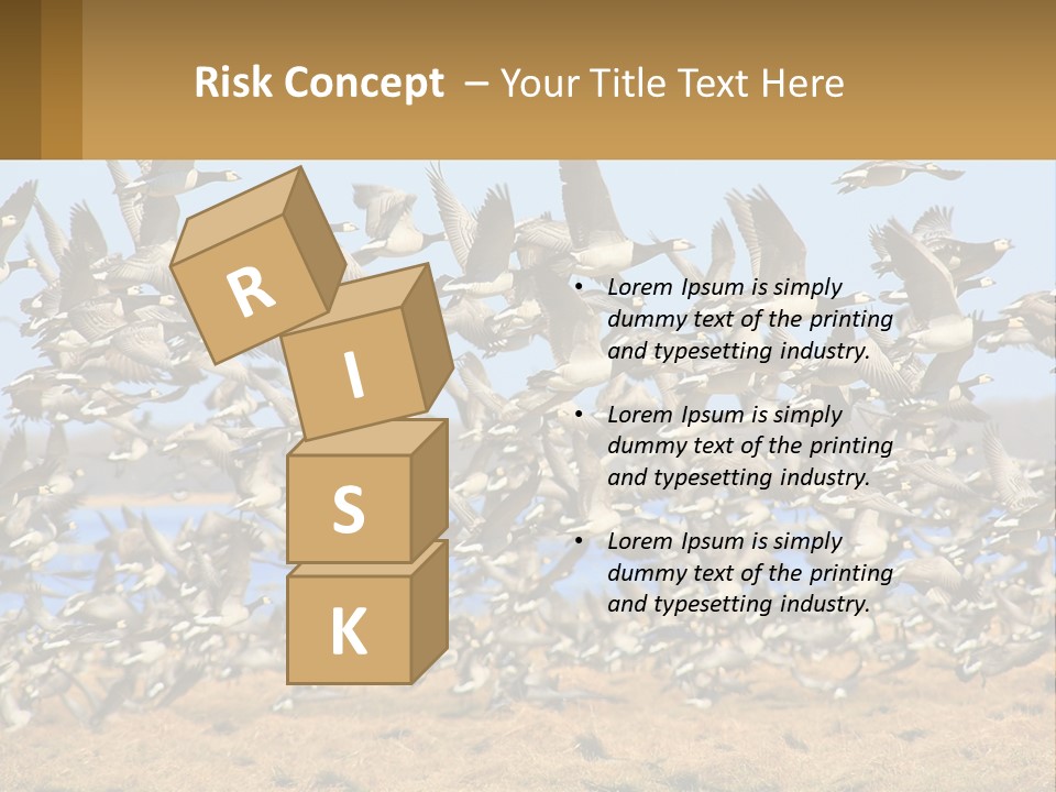 A Flock Of Birds Flying Over A Dry Grass Field PowerPoint Template