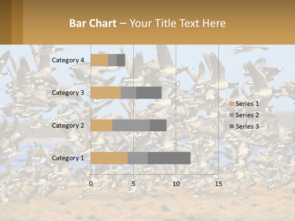 A Flock Of Birds Flying Over A Dry Grass Field PowerPoint Template