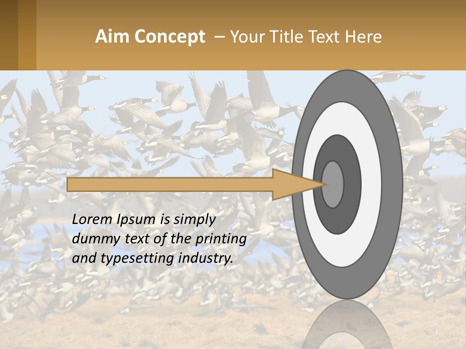 A Flock Of Birds Flying Over A Dry Grass Field PowerPoint Template