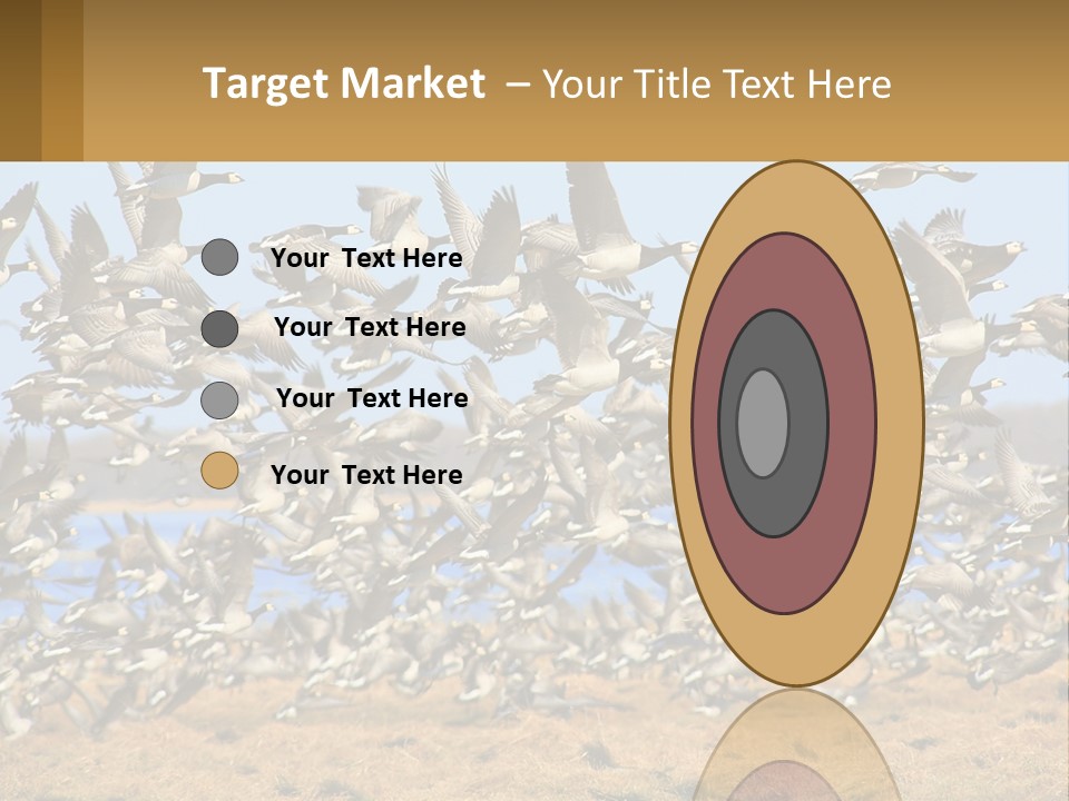 A Flock Of Birds Flying Over A Dry Grass Field PowerPoint Template