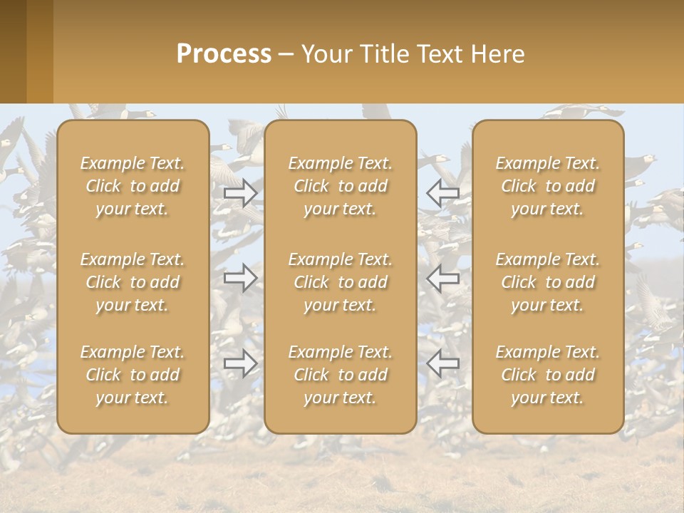 A Flock Of Birds Flying Over A Dry Grass Field PowerPoint Template