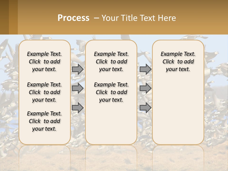 A Flock Of Birds Flying Over A Dry Grass Field PowerPoint Template