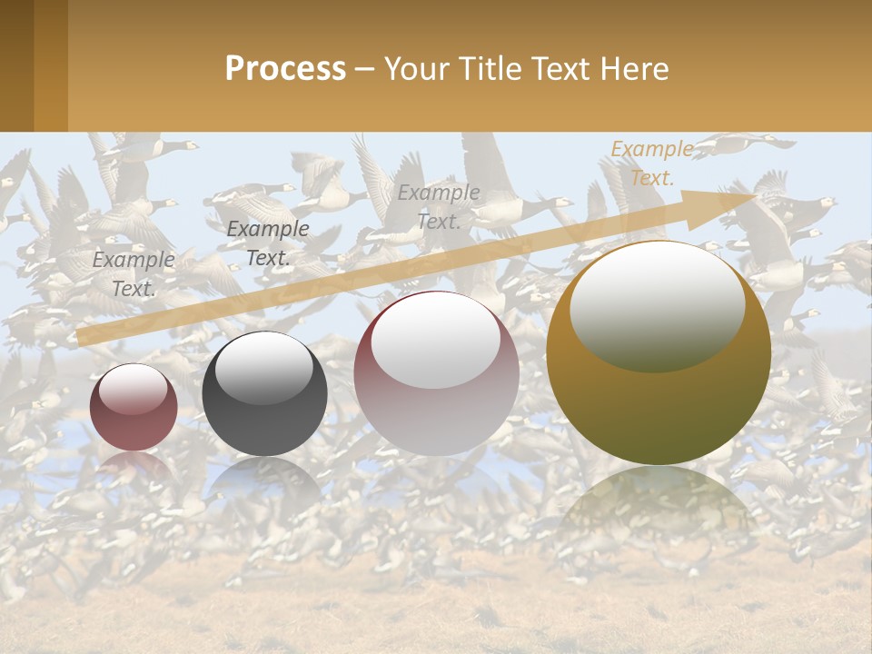 A Flock Of Birds Flying Over A Dry Grass Field PowerPoint Template