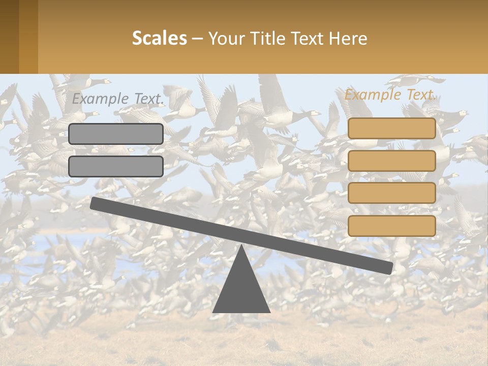 A Flock Of Birds Flying Over A Dry Grass Field PowerPoint Template