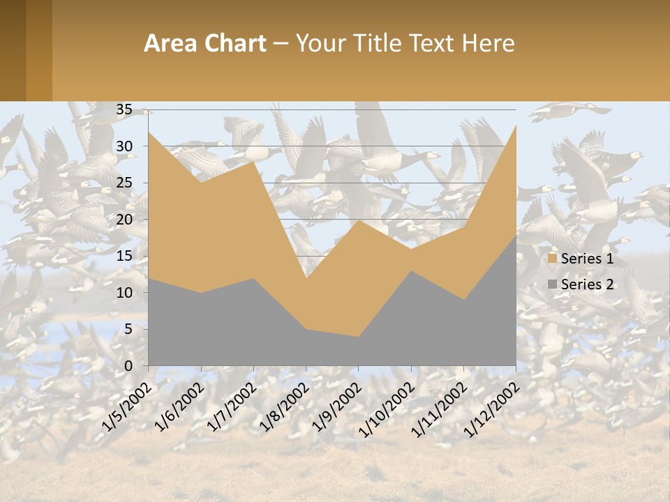 A Flock Of Birds Flying Over A Dry Grass Field PowerPoint Template