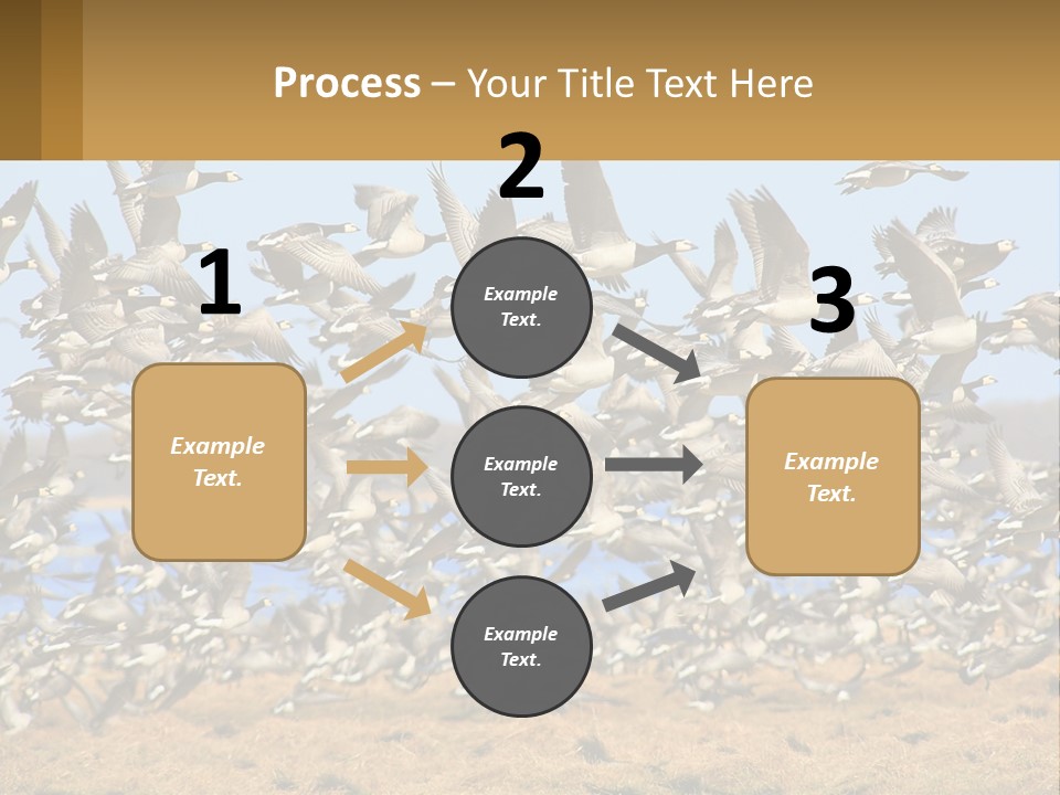 A Flock Of Birds Flying Over A Dry Grass Field PowerPoint Template