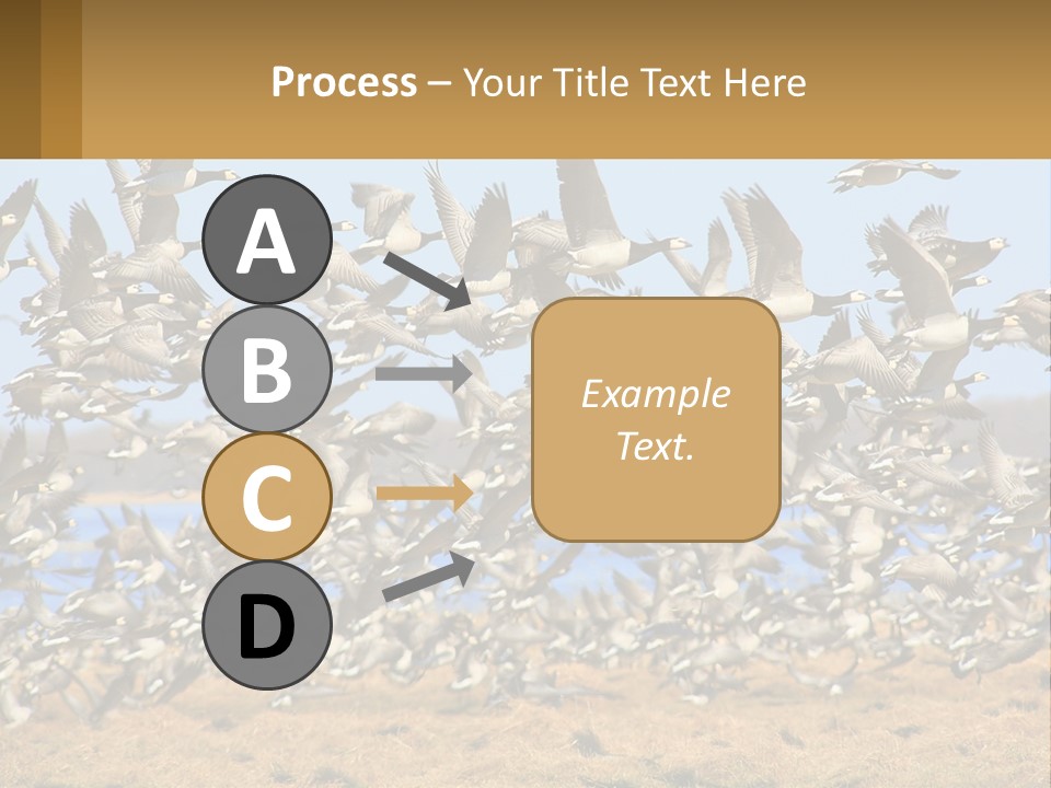 A Flock Of Birds Flying Over A Dry Grass Field PowerPoint Template