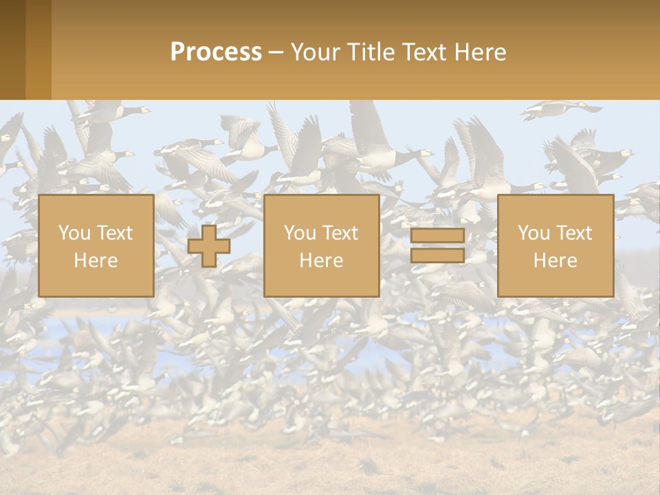 A Flock Of Birds Flying Over A Dry Grass Field PowerPoint Template