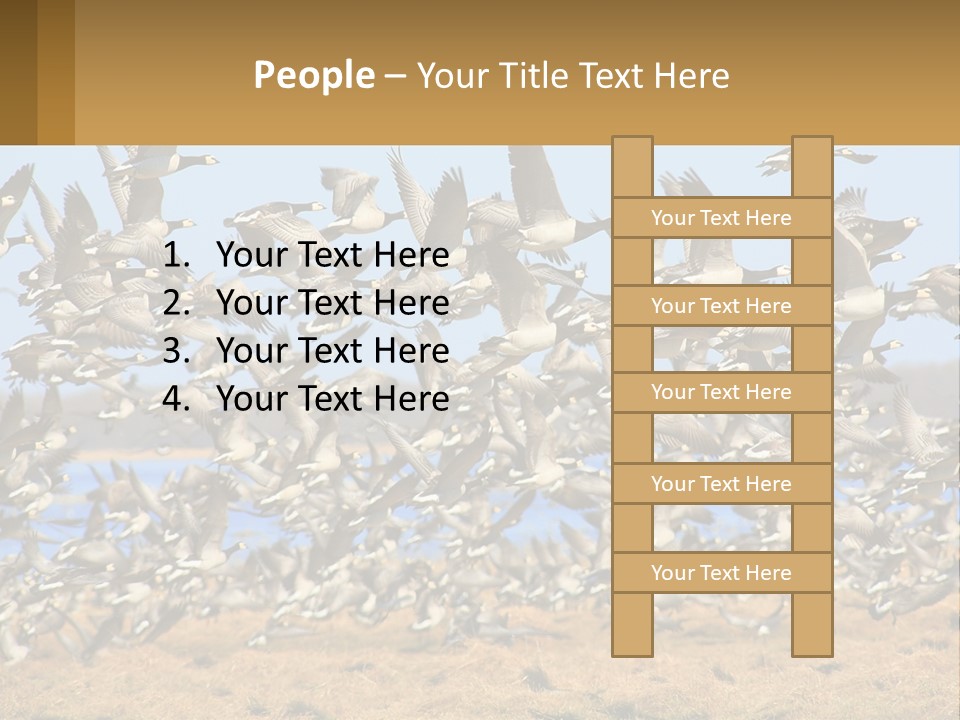 A Flock Of Birds Flying Over A Dry Grass Field PowerPoint Template