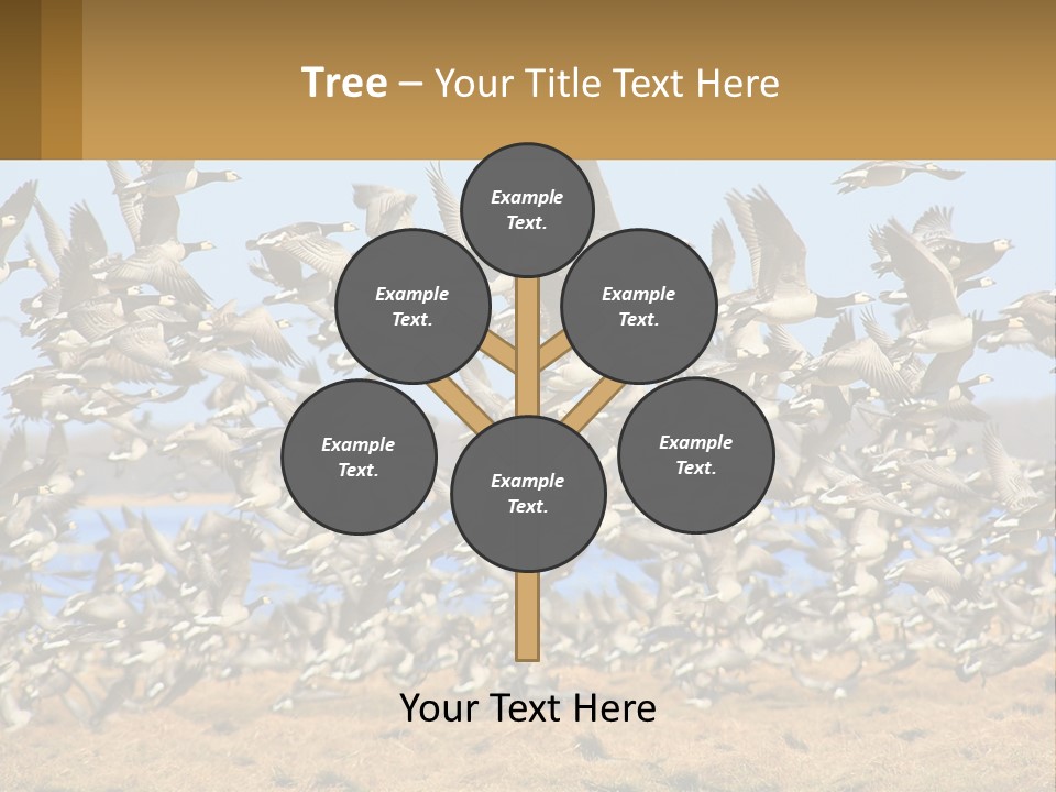 A Flock Of Birds Flying Over A Dry Grass Field PowerPoint Template