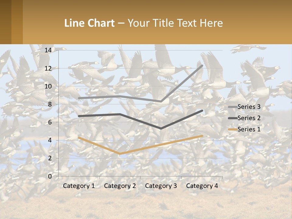 A Flock Of Birds Flying Over A Dry Grass Field PowerPoint Template