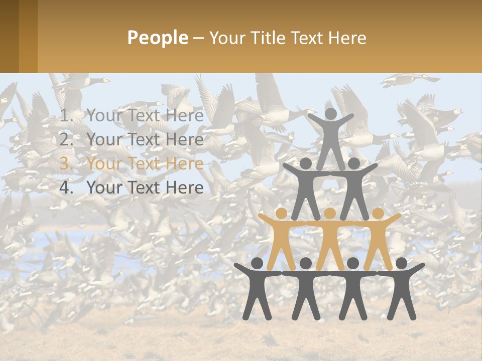 A Flock Of Birds Flying Over A Dry Grass Field PowerPoint Template