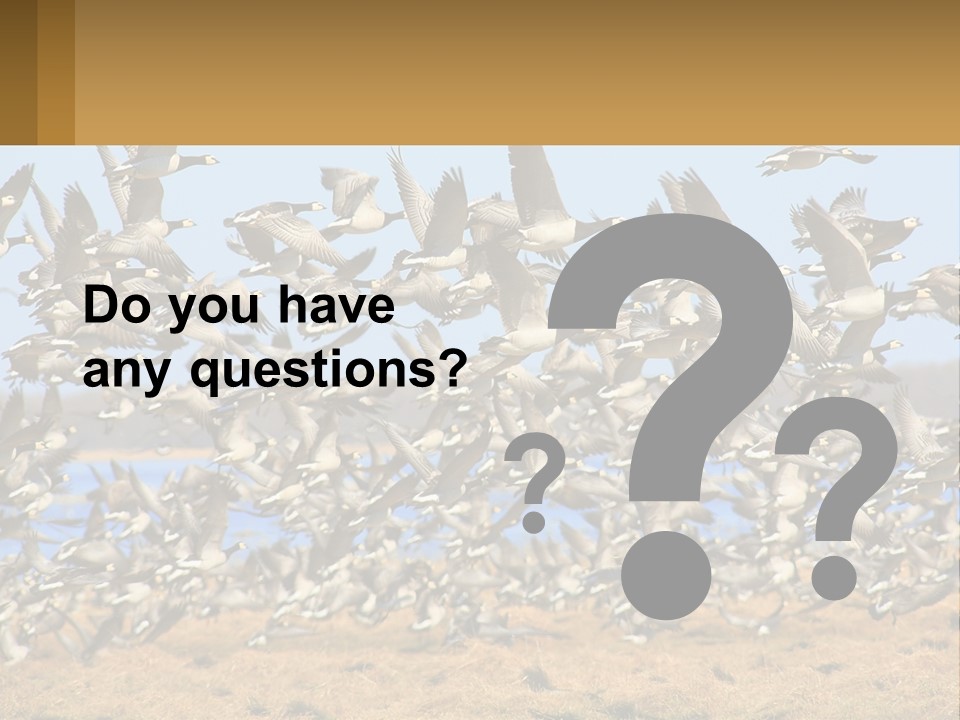 A Flock Of Birds Flying Over A Dry Grass Field PowerPoint Template