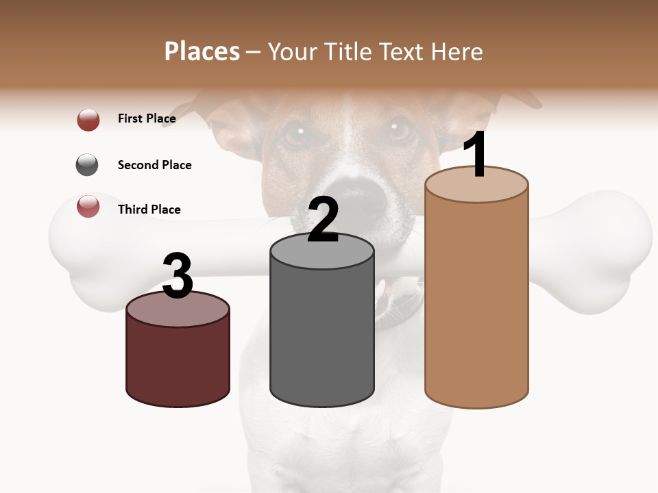A Dog Holding A Large Bone In Its Mouth PowerPoint Template