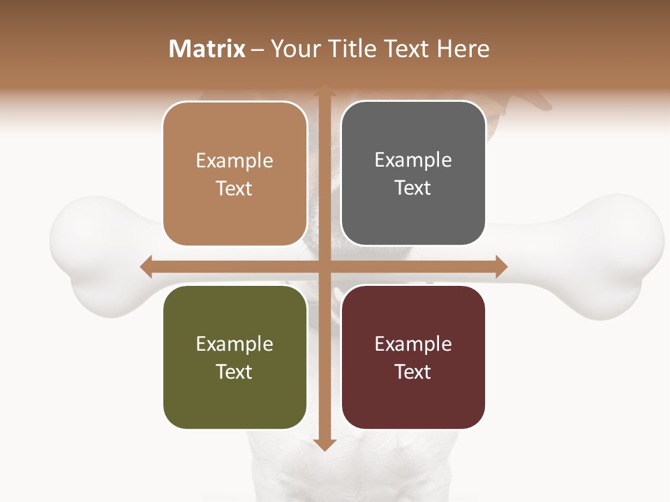 A Dog Holding A Large Bone In Its Mouth PowerPoint Template