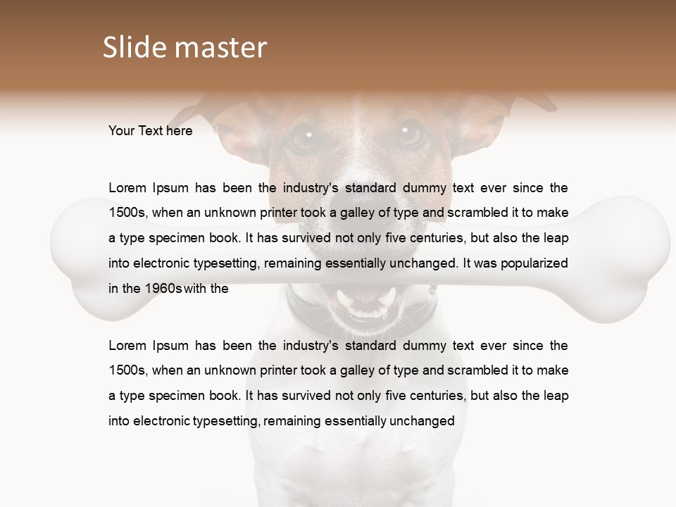 A Dog Holding A Large Bone In Its Mouth PowerPoint Template