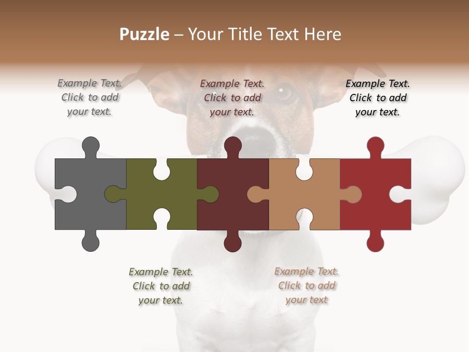 A Dog Holding A Large Bone In Its Mouth PowerPoint Template