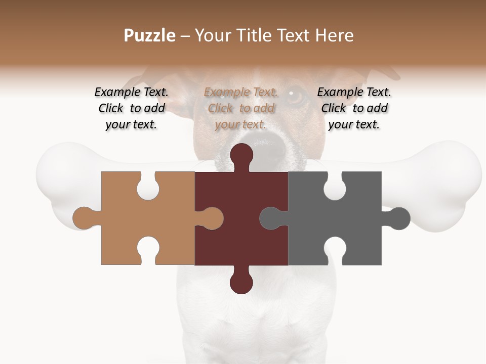 A Dog Holding A Large Bone In Its Mouth PowerPoint Template