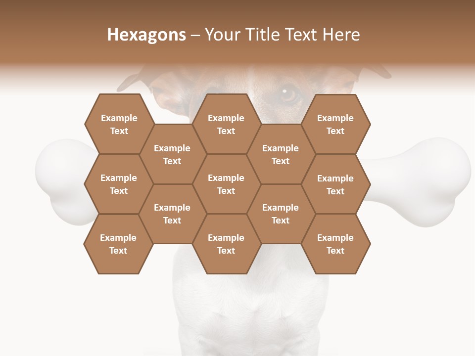 A Dog Holding A Large Bone In Its Mouth PowerPoint Template