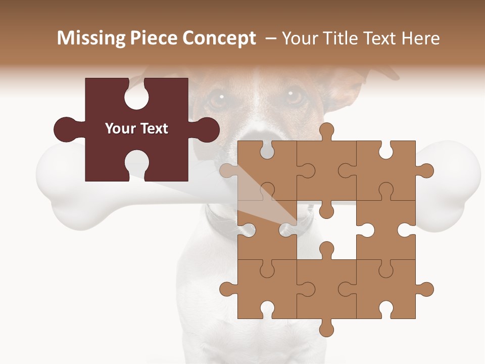 A Dog Holding A Large Bone In Its Mouth PowerPoint Template