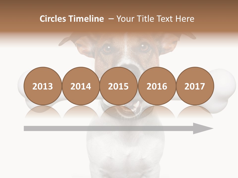 A Dog Holding A Large Bone In Its Mouth PowerPoint Template