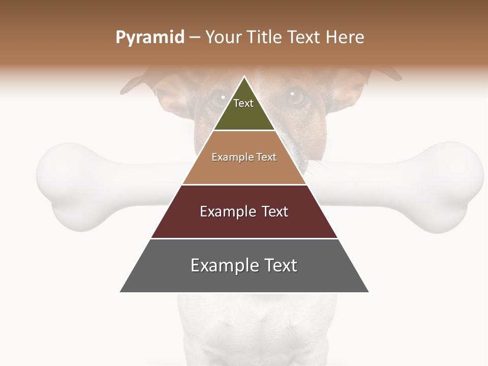 A Dog Holding A Large Bone In Its Mouth PowerPoint Template