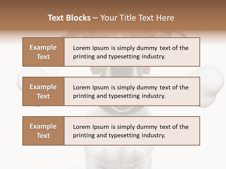 A Dog Holding A Large Bone In Its Mouth PowerPoint Template