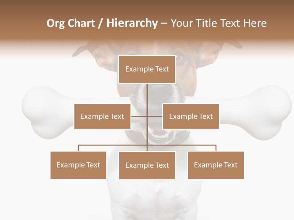 A Dog Holding A Large Bone In Its Mouth PowerPoint Template