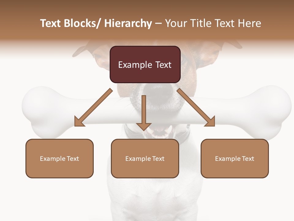 A Dog Holding A Large Bone In Its Mouth PowerPoint Template