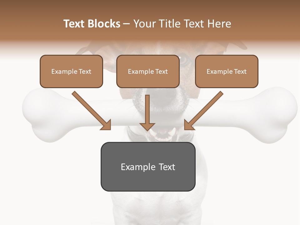 A Dog Holding A Large Bone In Its Mouth PowerPoint Template