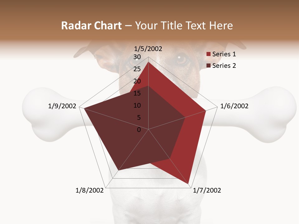 A Dog Holding A Large Bone In Its Mouth PowerPoint Template