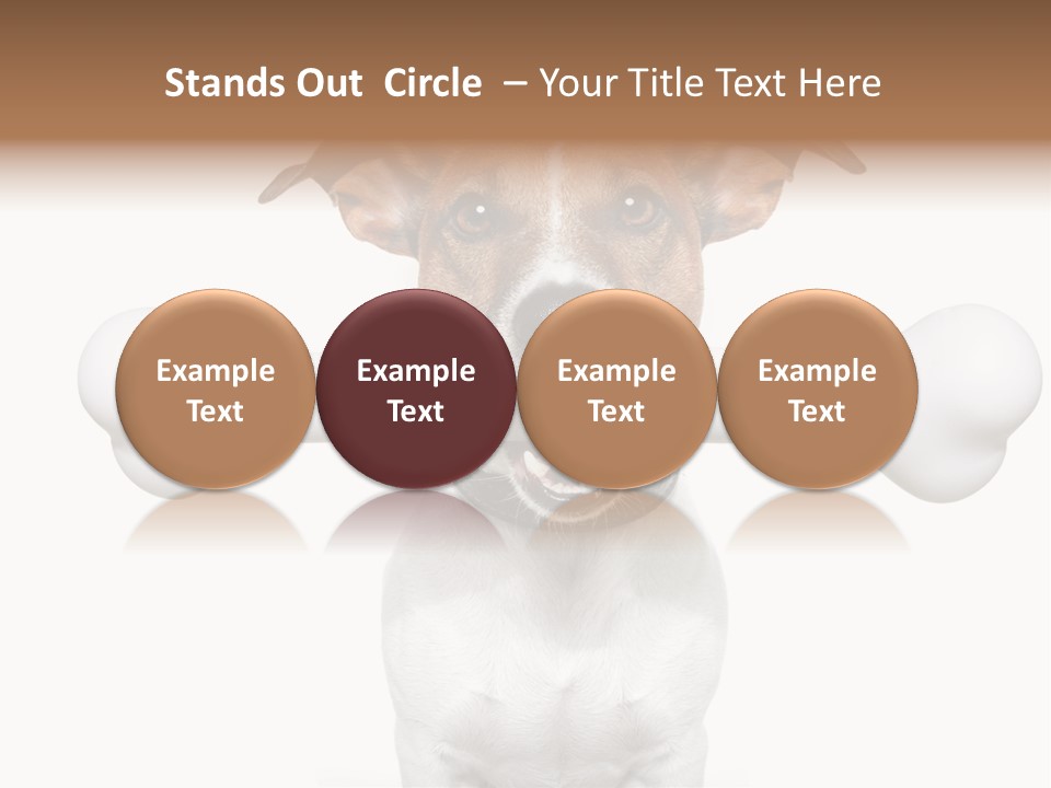 A Dog Holding A Large Bone In Its Mouth PowerPoint Template