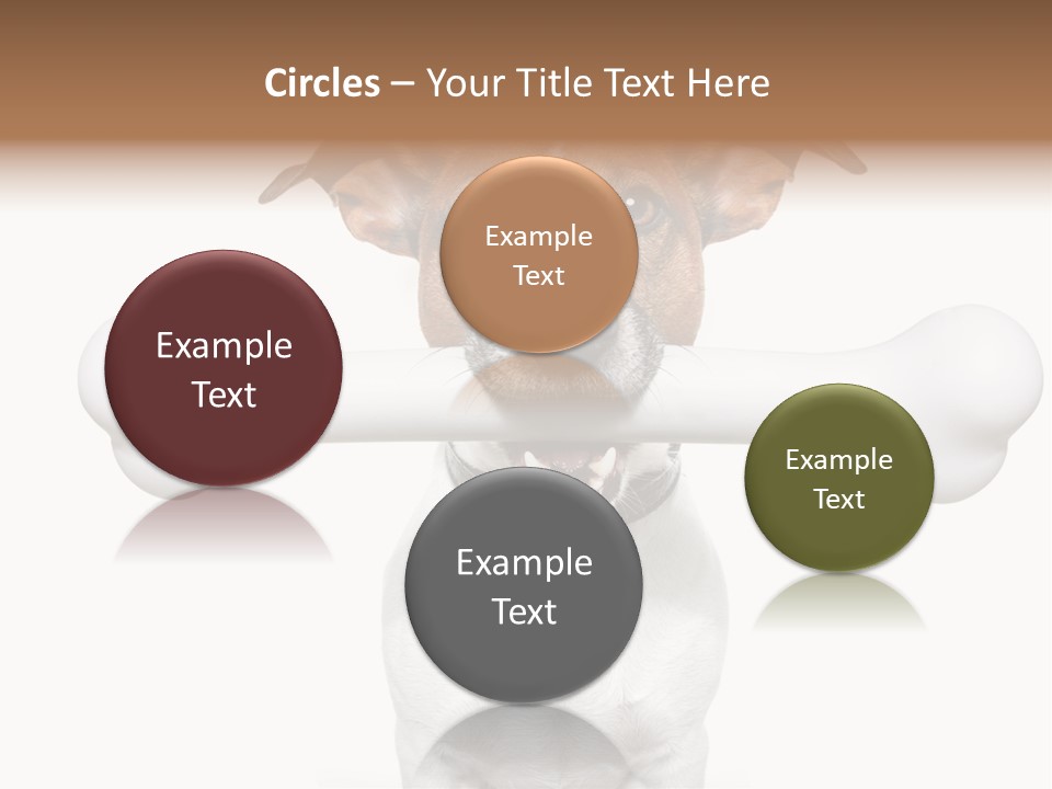 A Dog Holding A Large Bone In Its Mouth PowerPoint Template