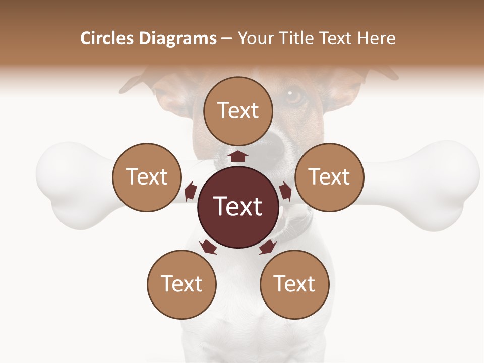 A Dog Holding A Large Bone In Its Mouth PowerPoint Template