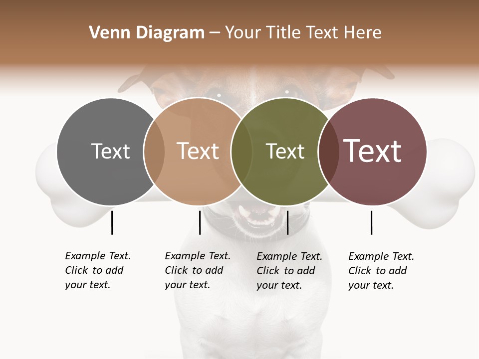 A Dog Holding A Large Bone In Its Mouth PowerPoint Template