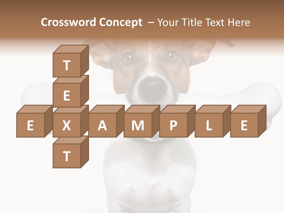 A Dog Holding A Large Bone In Its Mouth PowerPoint Template