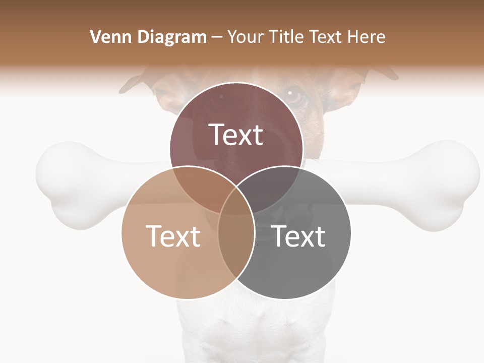 A Dog Holding A Large Bone In Its Mouth PowerPoint Template