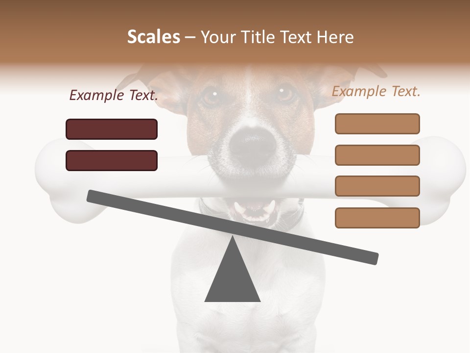 A Dog Holding A Large Bone In Its Mouth PowerPoint Template