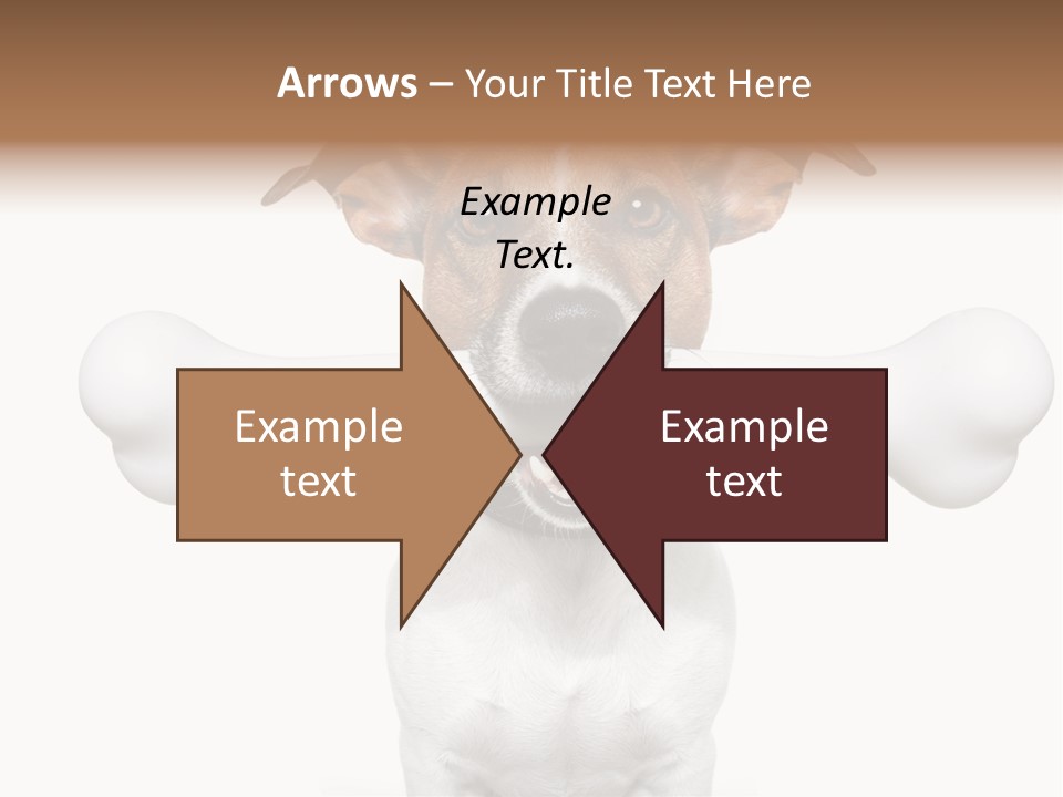 A Dog Holding A Large Bone In Its Mouth PowerPoint Template