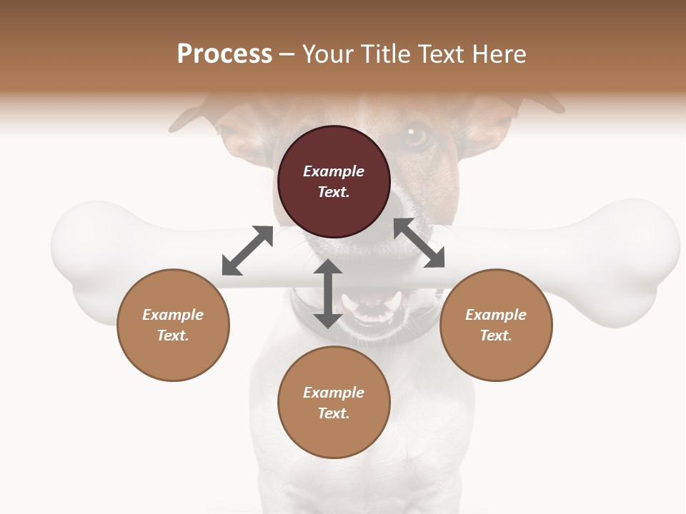 A Dog Holding A Large Bone In Its Mouth PowerPoint Template